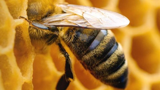 Test to determine your level